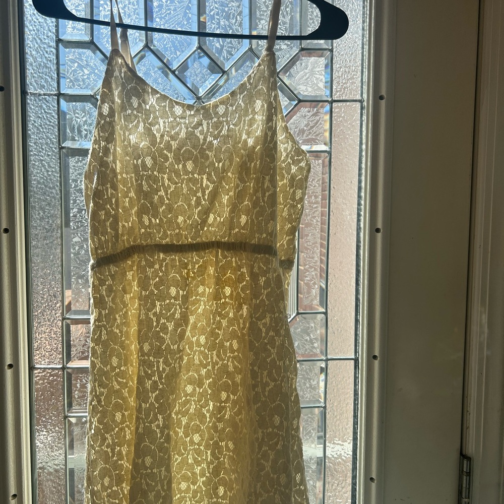 Elegant Cream Lace Dress